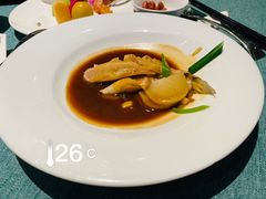 -诺莱仕游艇会