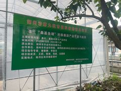 -丝绸小镇荻港古村