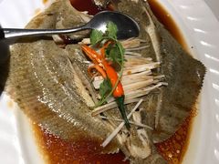 清蒸多宝鱼-香浙汇(望京店)