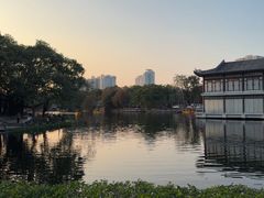 -荔湾湖公园