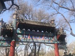 -北京国子监胡同