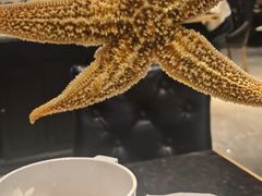 -嘉华国际商业中心