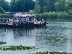 -溱湖国家湿地公园