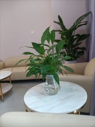 点击看大图 -天使医生VIP孕期孕检产检(市二医院店)