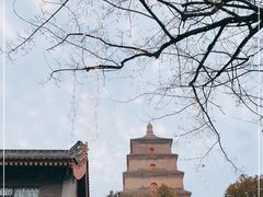 -大慈恩寺(大雁塔)