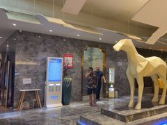 -畅想汤泉生活(民治店)