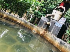 -西安国际创新人才交流中心•药浴温泉