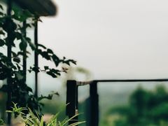 -远山有窑