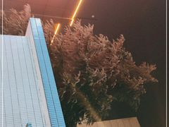 -星光城