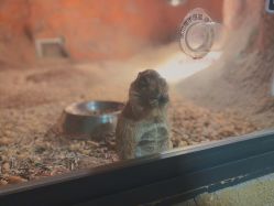 -酷嗒动物文化乐园(cutezoo西溪乐天城店)