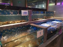 水产区-奢谷·海鲜自助(南海万科店)