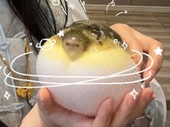 -肆月河豚·淮扬菜·湘菜(华天店)