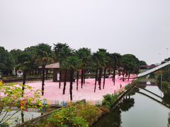 -苏州太湖西山岛开心农场