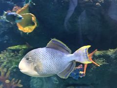 -华夏文旅海洋公园