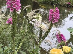 -人民公园(罗湖区)