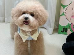 -爱侣宠医·鹦鹉专科·小型哺乳类·异宠专科(灵石路店)