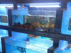 -岳州三毛·钻石卤虾(润泽园店)