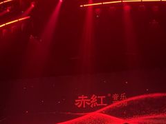 -赤红音乐现场(浦东金桥路店)