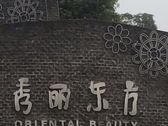 -秀丽东方