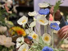 -双季花艺园艺市场(浦东店)