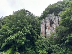 -四明山国家森林公园