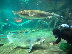 -华夏文旅海洋公园