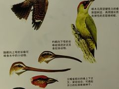 -浙江自然博物院(杭州馆)
