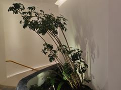 -手佳按摩·足疗·艾灸(博物院中山陵店)