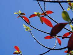 -白塘生态植物园
