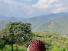 -广州市石门国家森林公园