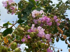 -池州市平天湖风景区