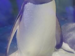 -台州海洋世界