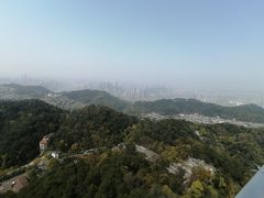 -大金鹰园