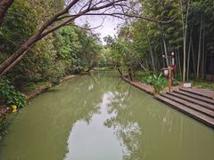 -同里国家湿地公园