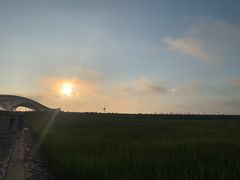 -南汇嘴观海公园