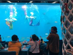 -瑞德姆美人鱼海底演艺主题餐厅(亚龙湾店)