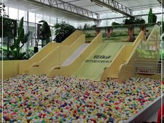 -南宫五洲植物乐园