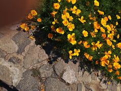 -江苏三台山国家森林公园