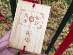 -西湖风景区十里琅珰-五云山
