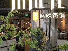 -川成元·麻辣香锅(凯德MALL西直门店)