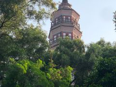 -顺峰山公园