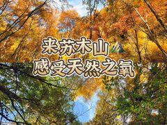 -苏木山森林公园