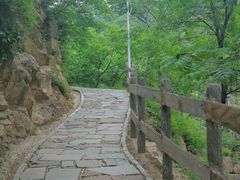 -大岭沟猕猴桃谷风景区