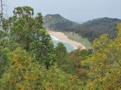 -广东惠东海龟国家级自然保护区
