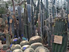 -国家植物园南园