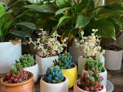 -火塘云南烧烤大排档