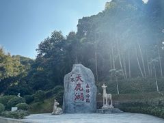 -天鹿湖森林公园
