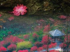 -桃花涧