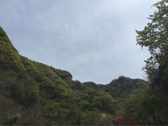 九龙湾景区-九龙湾景区