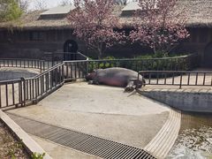 -济南野生动物世界